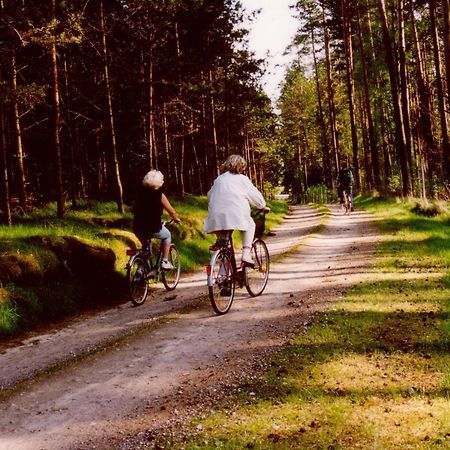 Reimershagen Kleine Auszeit - Natur Und Erholung In Mecklenburg מראה חיצוני תמונה